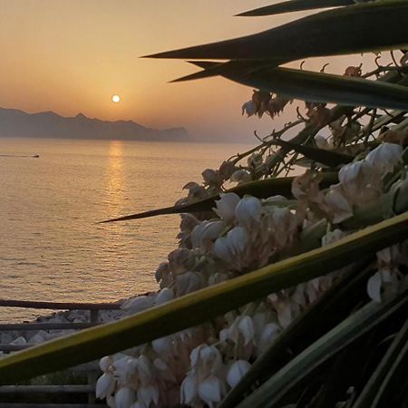 Loft In Balestrate Vicino Al Mare - Rental Beb Dış mekan fotoğraf